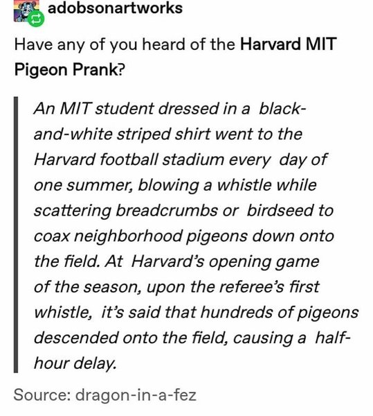 Thumbnail of b-dvlnbjjzz-2bb2b5b4b75140b6 1