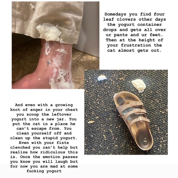 Thumbnail of cuihbqco3-d-2bc0886eb71b4186 1