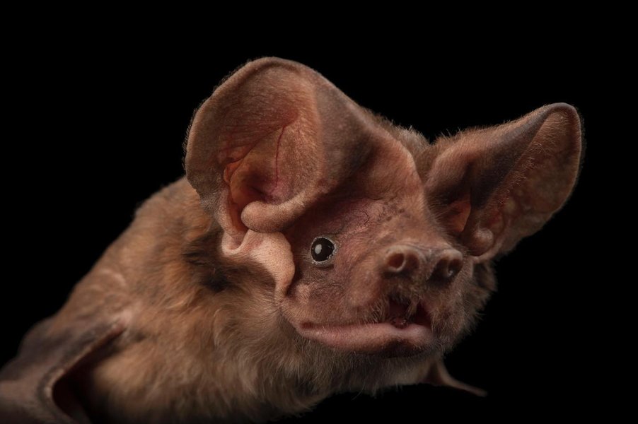 Thumbnail of p-b2jv13znflh-2c102559c7384662 0