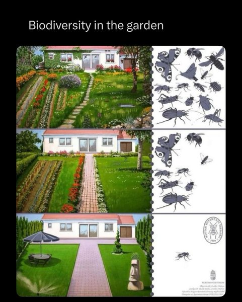 Thumbnail of p-dnacusfoqnb-2c469d3b6e384acc 0