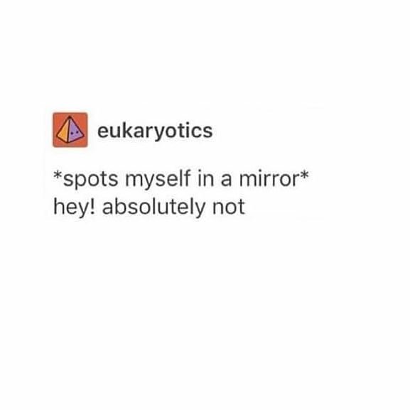 Thumbnail of bz-dqttnplr-2c52b5847e804465 2