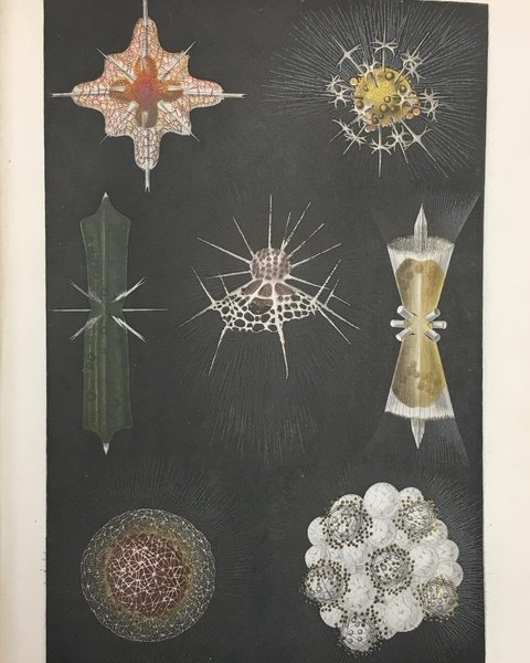 Thumbnail of bqnrh-jgzem-2c584e0a66774cf0 0