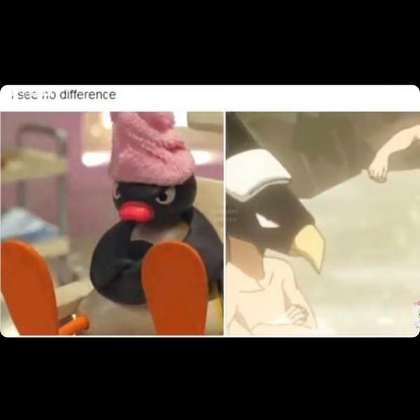 Thumbnail of p-caxxmtnjeyq-2c8ee27f3b244008 1