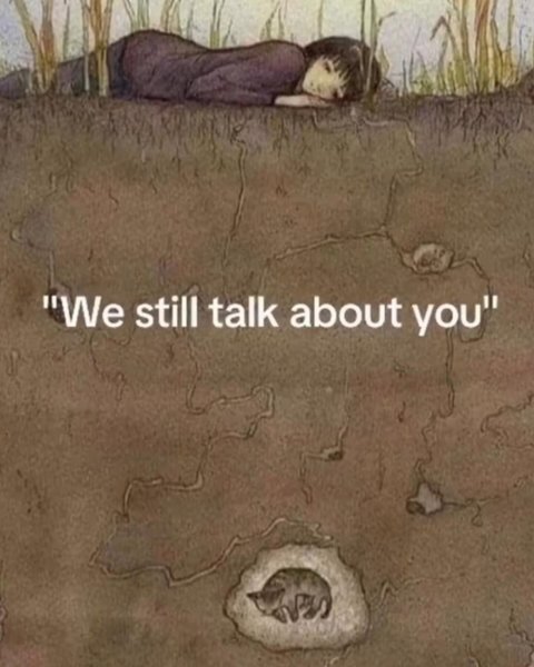 Thumbnail of da7j-z7ynr5-2ca081d7844f4459 0