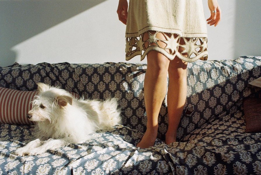 Thumbnail of p-clltipftp0o-2ca162acdbef4348 1