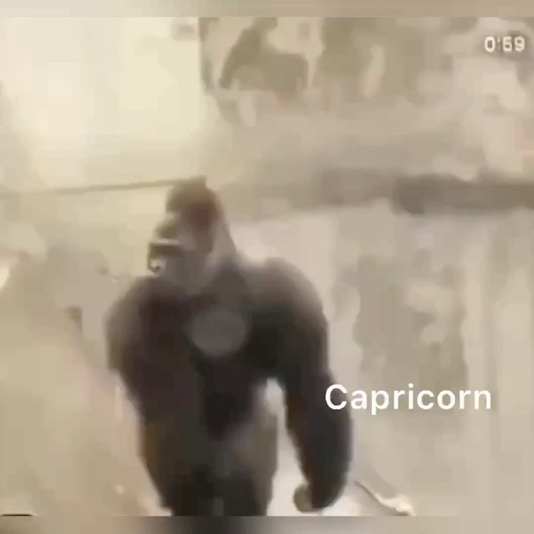 Thumbnail of p-cnpynanyr7-2cb9c5b0155947cd 2