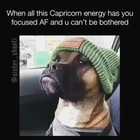 Thumbnail of p-cnpynanyr7-2cb9c5b0155947cd 6