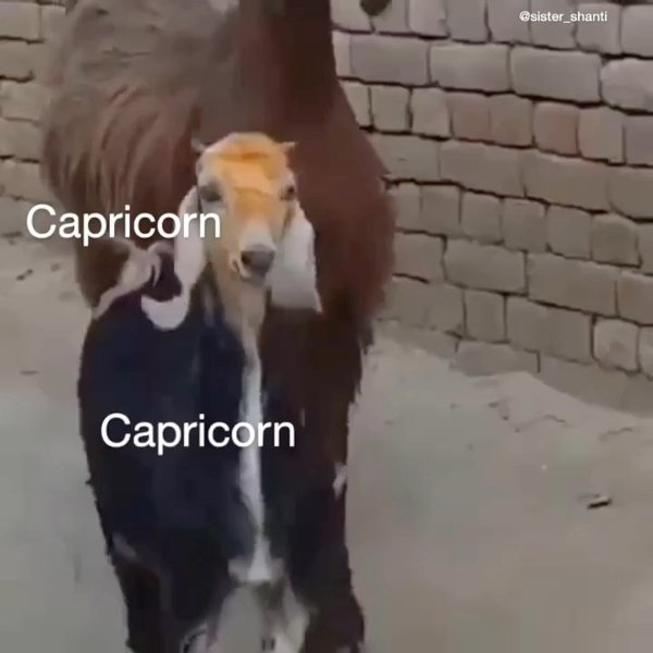 Thumbnail of p-cnpynanyr7-2cb9c5b0155947cd 9