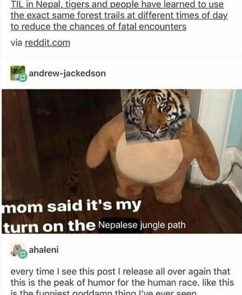 Thumbnail of p-b78u0wggws-2cc3684e44cb4ce1 0