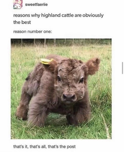 Thumbnail of p-b78u0wggws-2cc3684e44cb4ce1 2