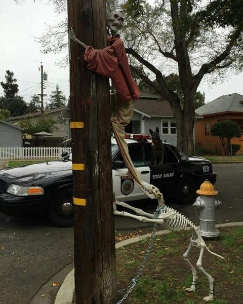 Thumbnail of p-boo5nkwhqv5-2cd438e7ba934293 0