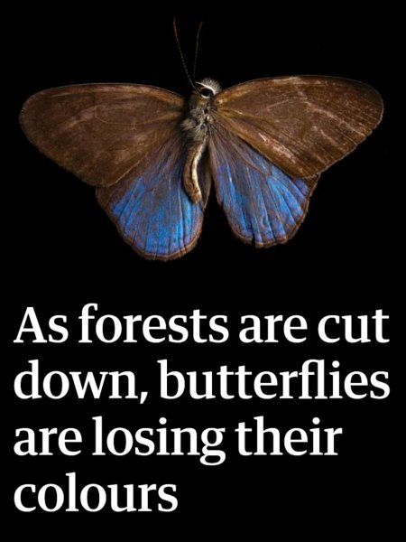 Thumbnail of dperq-ok3po-2d35e9dda18c4df6 0