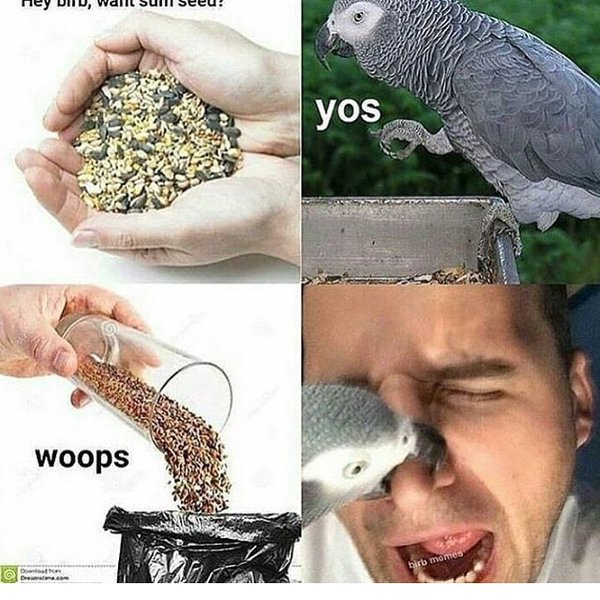 Thumbnail of p-bc0culjaouk-2d4ca52feda64969 0