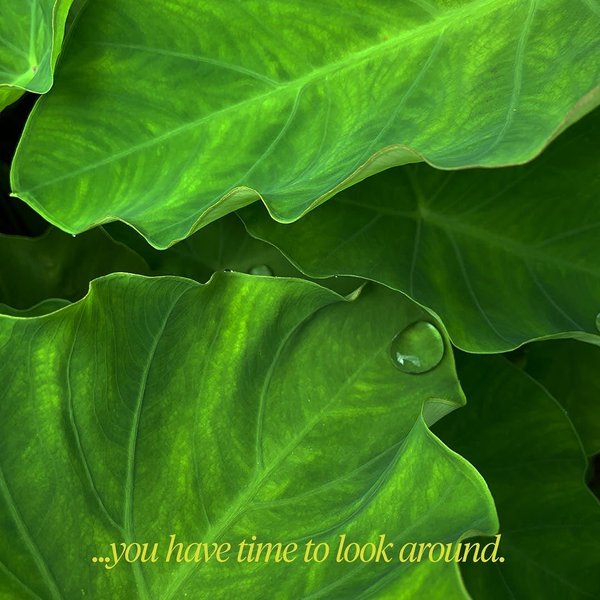 Thumbnail of p-czcav0enfjg-2d5e0de71d08495d 2