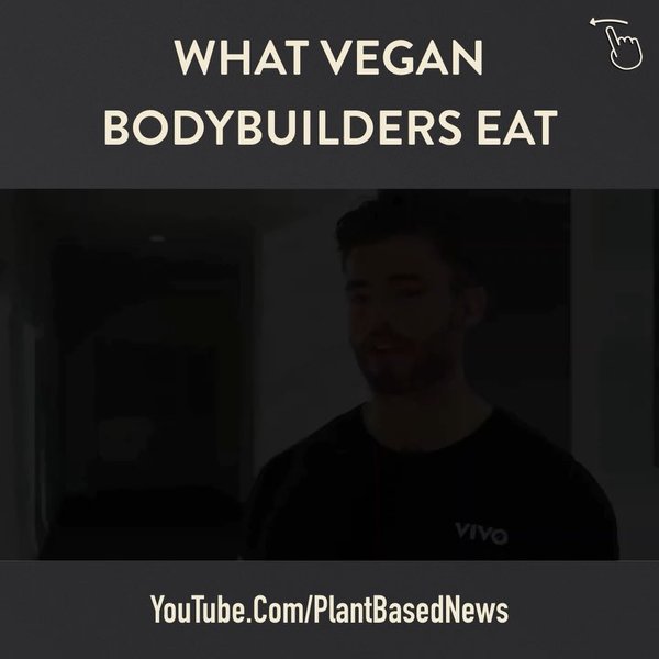 Thumbnail of p-bwunggrnjpw-2d7077bc057449d4 1