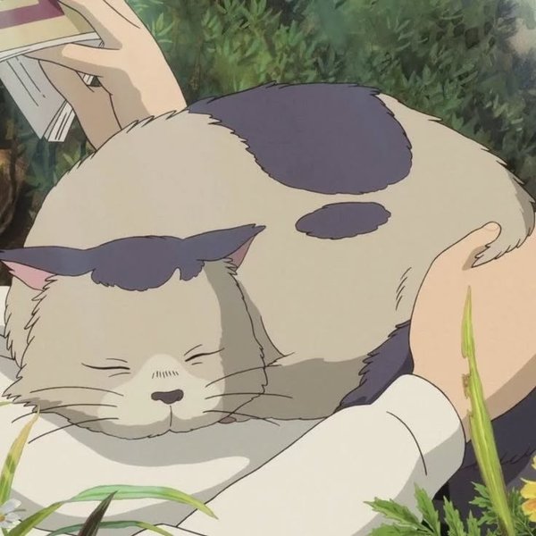 Thumbnail of p-ckhvetltcb7-2d881aedccf64e3c 0