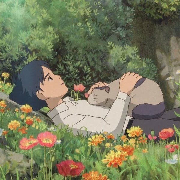 Thumbnail of p-ckhvetltcb7-2d881aedccf64e3c 1