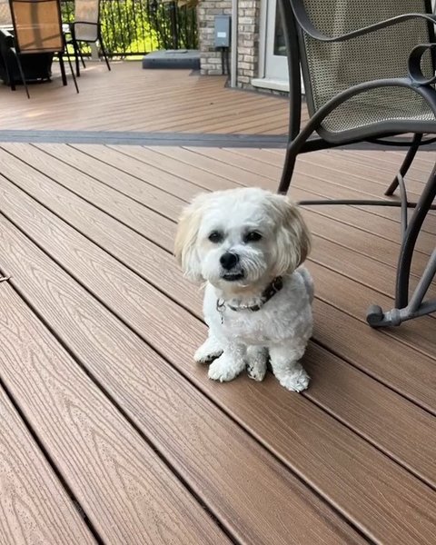 Thumbnail of p-cxegjqnslj8-2dc88c6c1afb4778 9