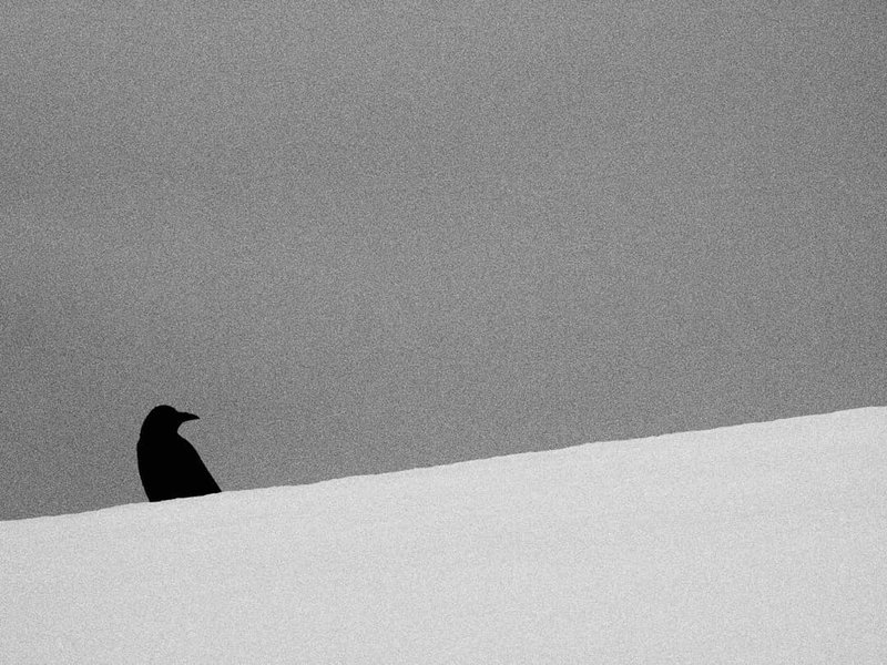 Thumbnail of cmemlq1h-rb-2df4eb98d128480b 0