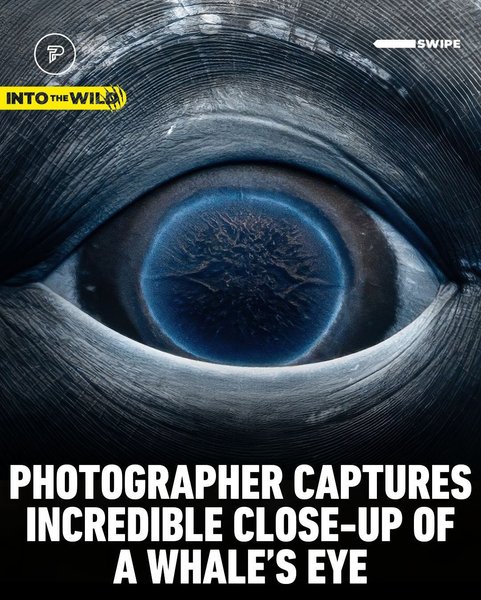 Thumbnail of p-dckorfjik6p-2df6c330fd7342bf 0