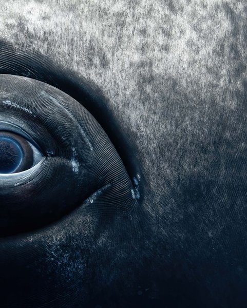 Thumbnail of p-dckorfjik6p-2df6c330fd7342bf 2