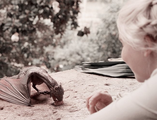 Thumbnail of www-x-com-odairannies-status-1130588135560273921-2e0b8b12317a4a0b