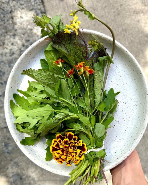 Thumbnail of crtkrc-ukah-2e27d2617d4347ed 1