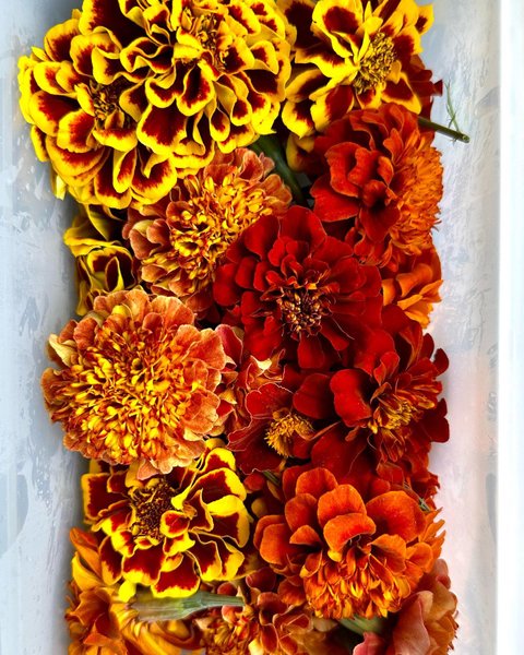 Thumbnail of crtkrc-ukah-2e27d2617d4347ed 2