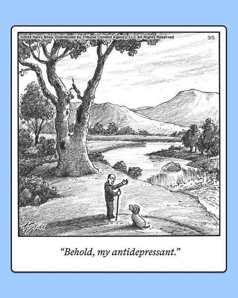 Thumbnail of p-dk7fuoptreb-2e6abf2277554506 4