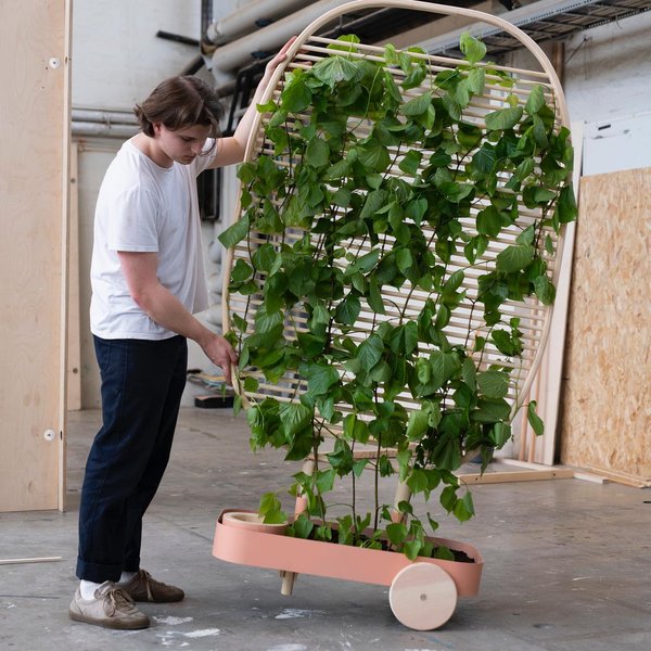 Thumbnail of b1dpm5-gkuk-2e993a46b14f45fc 1