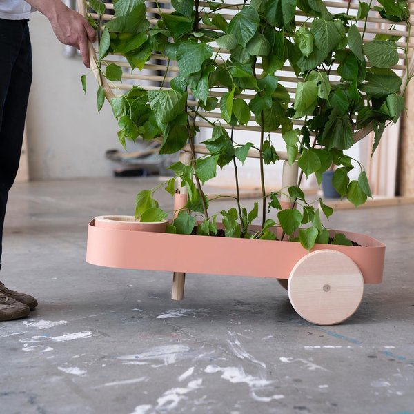 Thumbnail of b1dpm5-gkuk-2e993a46b14f45fc 7