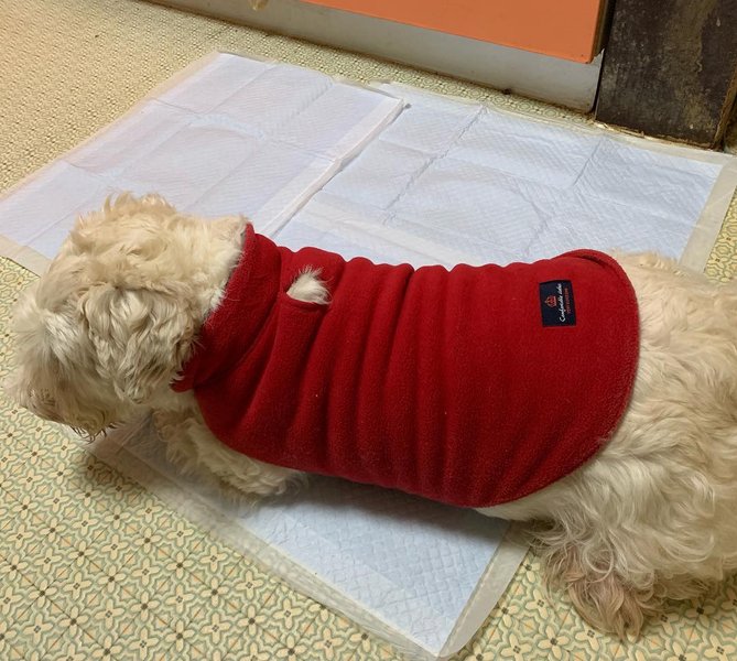 Thumbnail of p-bscyqgphwiw-2eaa78247d6e46f8 0