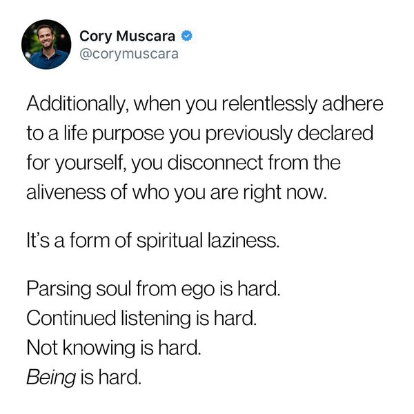 Thumbnail of p-dez3v4qpcd5-2ee24899c2f24782 2