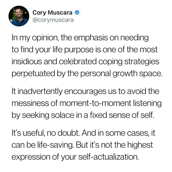 Thumbnail of p-dez3v4qpcd5-2ee24899c2f24782 3