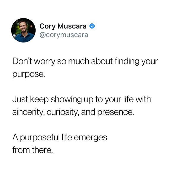 Thumbnail of p-dez3v4qpcd5-2ee24899c2f24782 6