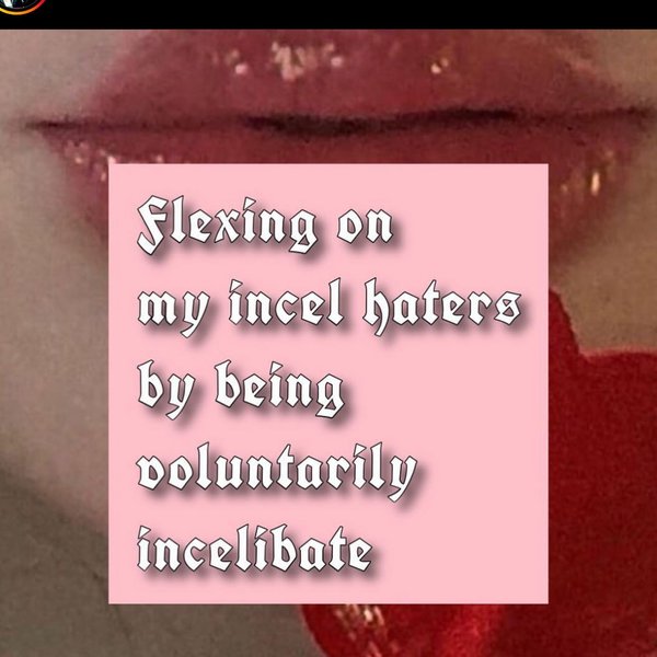 Thumbnail of p-crlcx9gusip-2ee851eecec54a8c 8