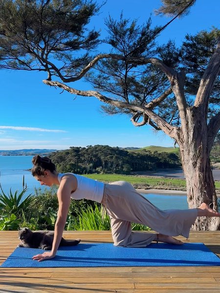 Thumbnail of p-dpnjucgkvuv-2f06b456c32447a7 4