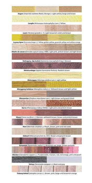 Thumbnail of www-x-com-sweatyclouds-status-1804789456702148608-2f12f2b9de8a437d