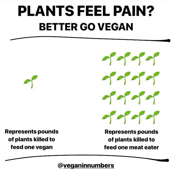 Thumbnail of p-bwymrengfdf-2f5452e8f6a74e6e 0