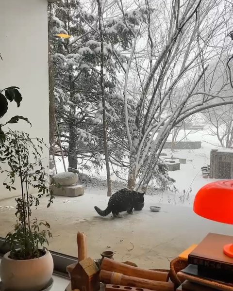 Thumbnail of p-dfufctupadx-2f5ae1639c6c4ec8 2