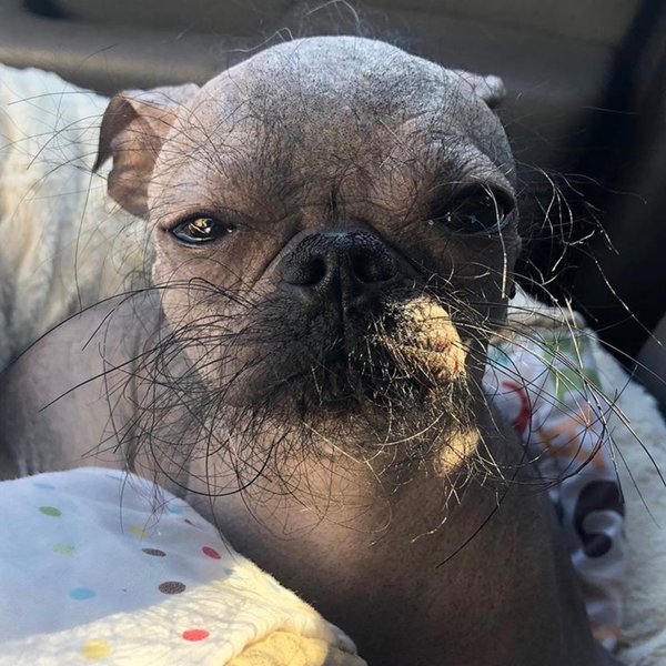 Thumbnail of dpan-j1vr-2f683588e4794e4d 0