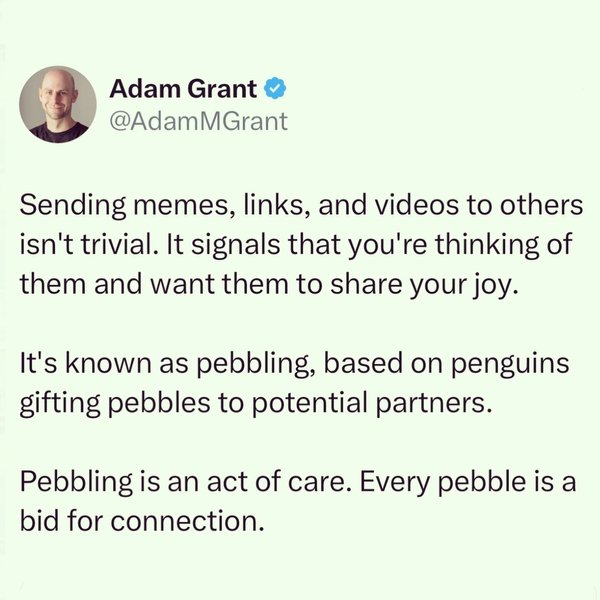 Thumbnail of p-c8xql0jjjza-2f7abd9e5403428d 0