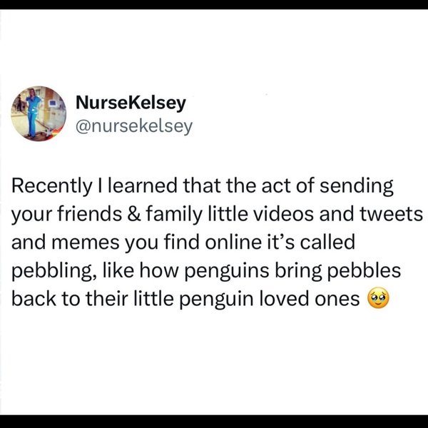 Thumbnail of p-c8xql0jjjza-2f7abd9e5403428d 1