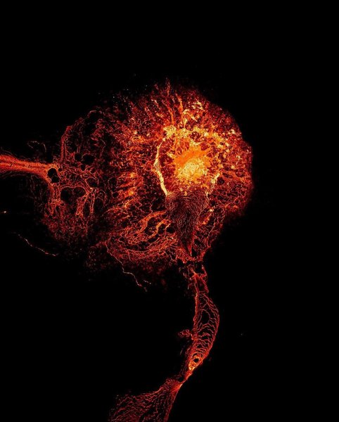 Thumbnail of p-czxwdsljhsi-2f88c095b53849b3 4