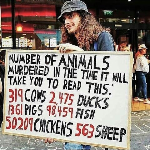 Thumbnail of p-bqdqjbwfeh5-2f97b5307e8c4771 0