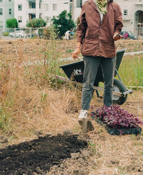 Thumbnail of p-ctuh715hdl7-2fae11e83a654a5b 4