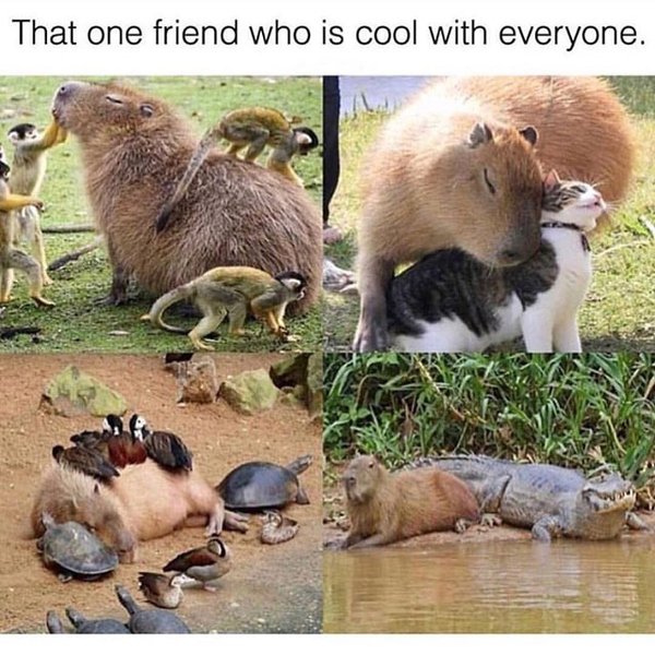 Thumbnail of p-bm7ojcfn1sc-2febbf8def424b65 0