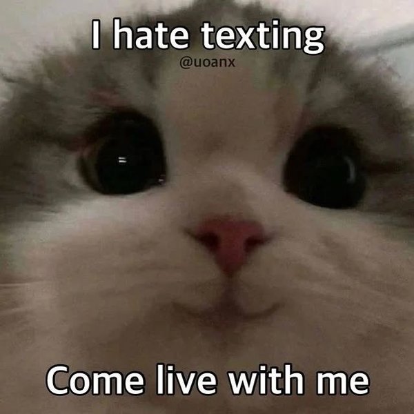 Thumbnail of p-cktnz2upruu-2ff5cd4089304ffe 1