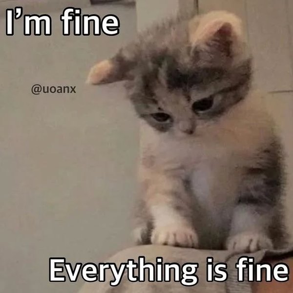 Thumbnail of p-cktnz2upruu-2ff5cd4089304ffe 2