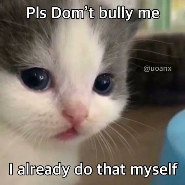 Thumbnail of p-cktnz2upruu-2ff5cd4089304ffe 3